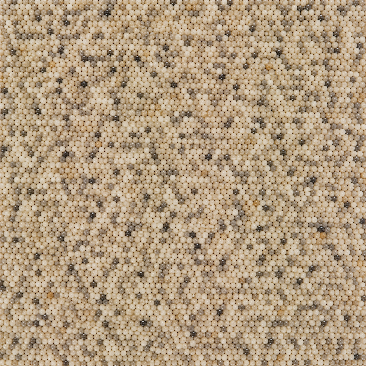 Coastal Sand KG218
