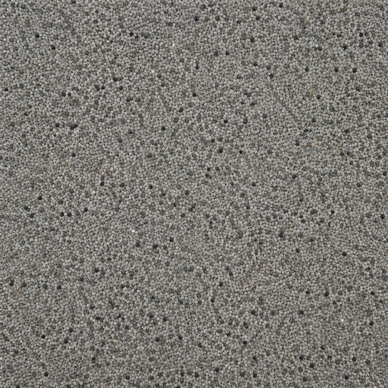 Titanium Stone FL311