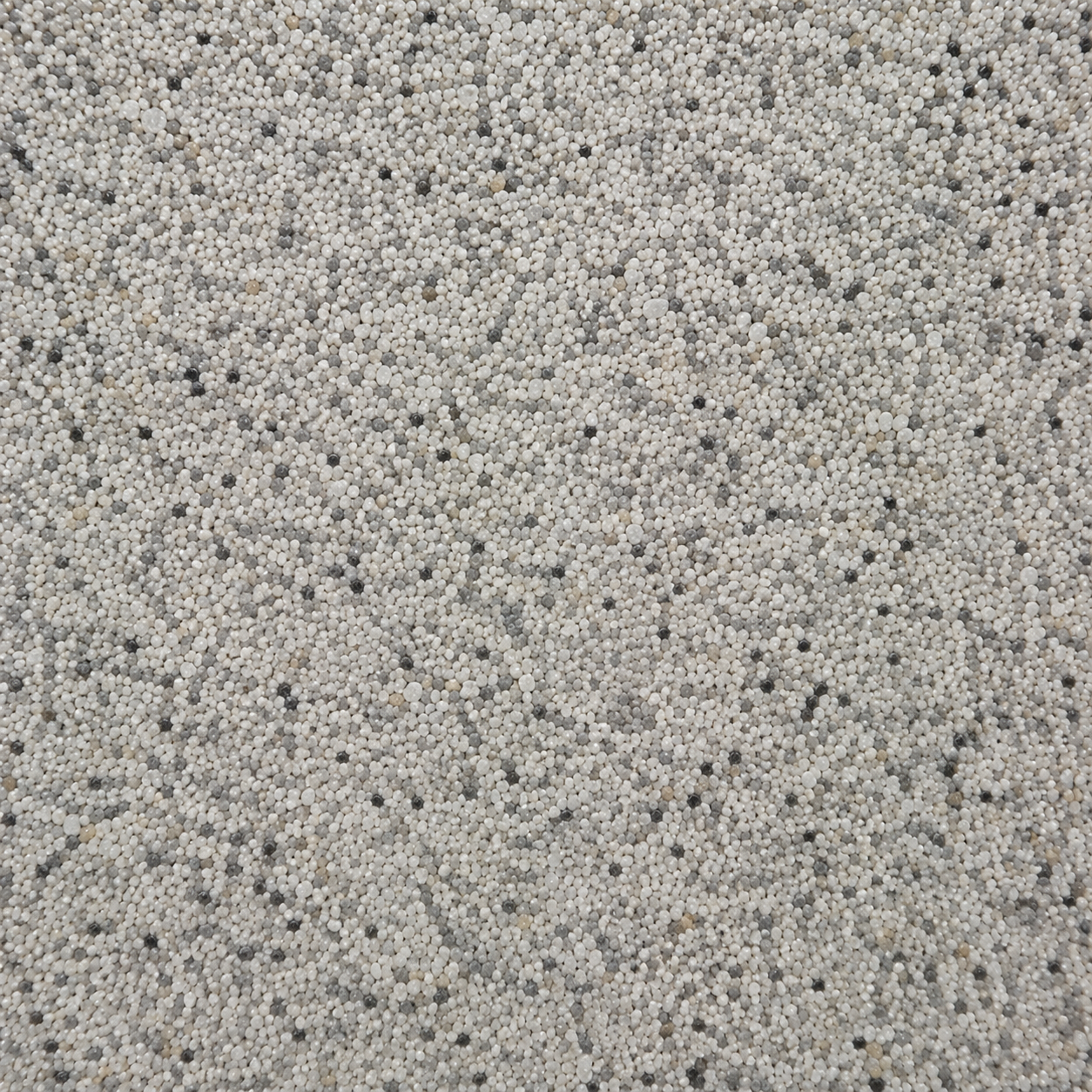 Armani Grey FL306