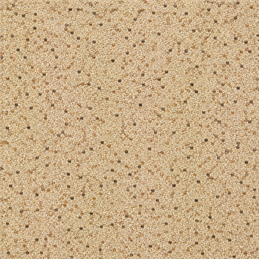 Canyon Beige KG209