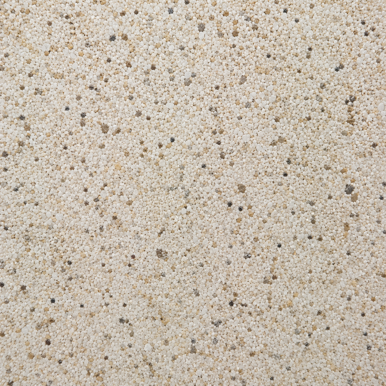 Royal Travertine FL305