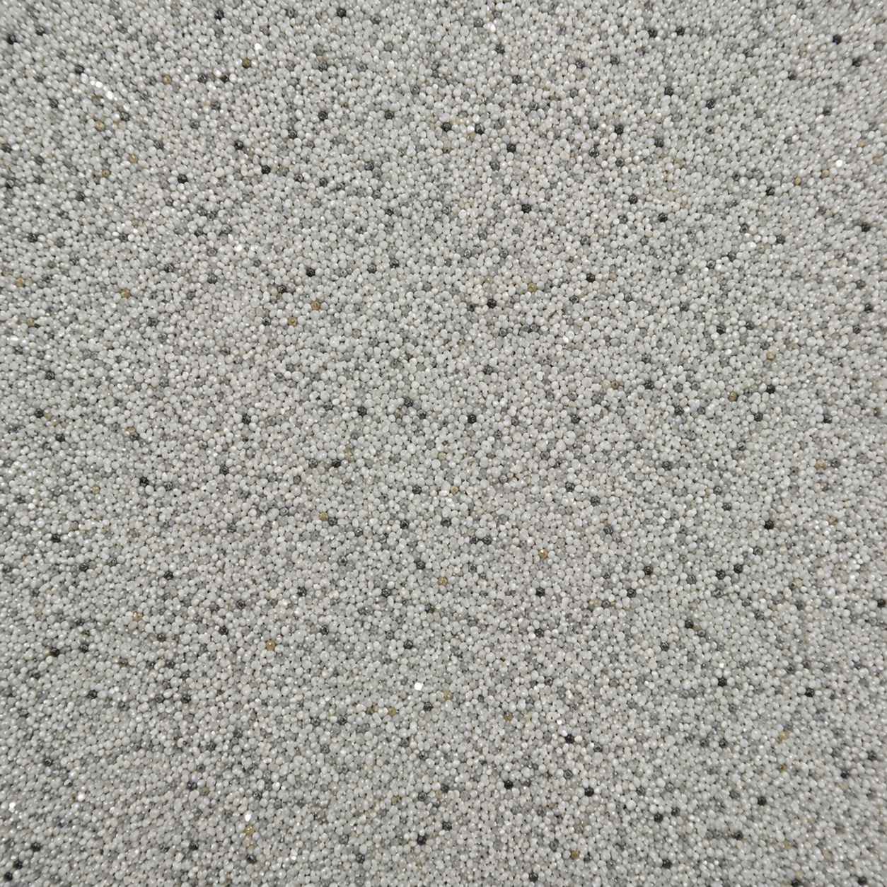Silver Galaxy FL308