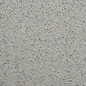 Silver Galaxy FL308