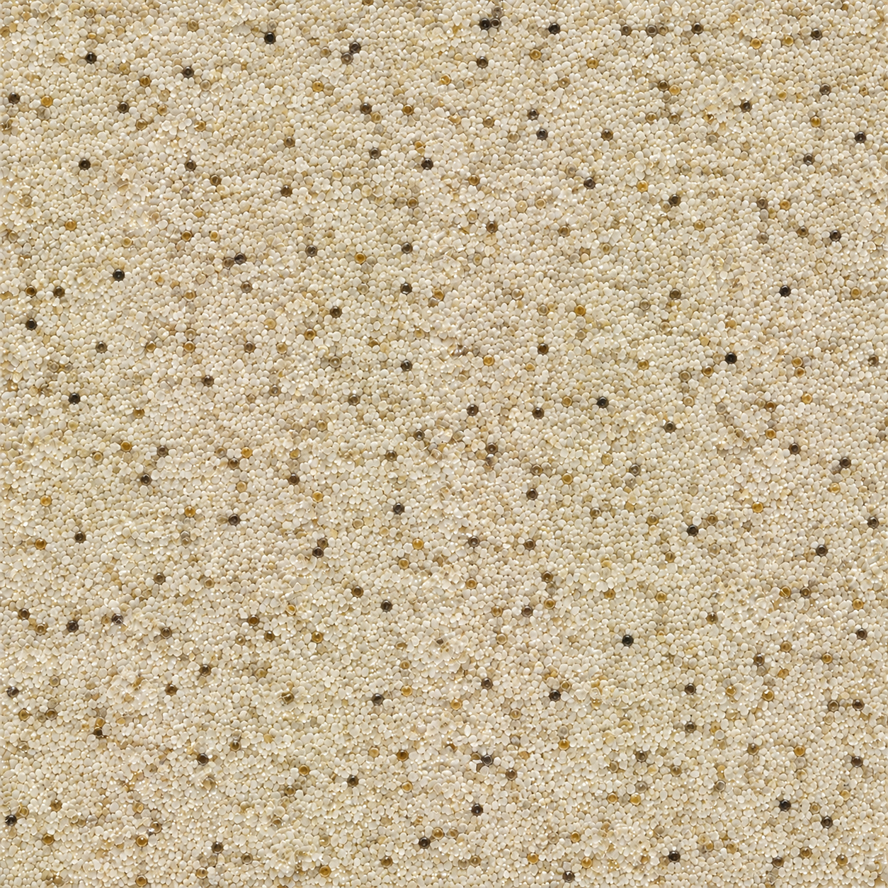 Travertine Blend KG206