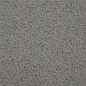 Titanium Stone FL311